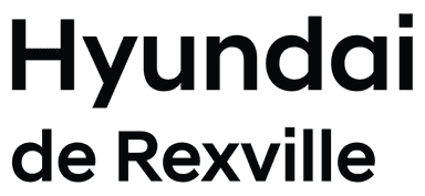 Hyundai RexVille